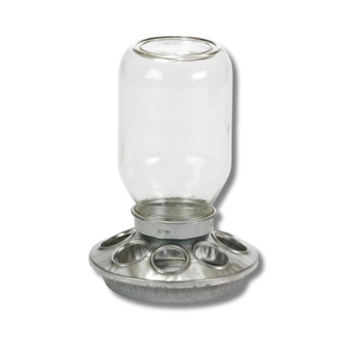 Little Giant® Mason Jar Chick Feeder – Durable, Easy-to-Use, and Gentle on Chicks
