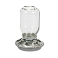 Little Giant® Mason Jar Chick Feeder – Durable, Easy-to-Use, and Gentle on Chicks