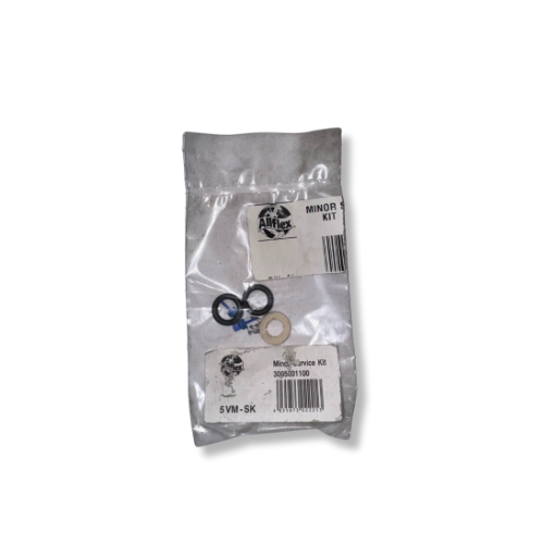 Minor Service Kit for Model 955099 – Includes O-Rings, Valves with Washers, and Valve Springs (2 each)
