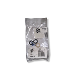 Minor Service Kit for Model 955099 – Includes O-Rings, Valves with Washers, and Valve Springs (2 each)