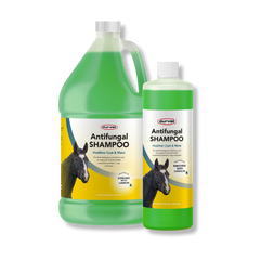 Antifungal Equine Shampoo