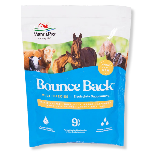 Manna Pro BOUNCE BACK Electrolytes – 4 oz