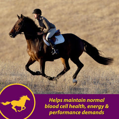 Red Cell® Vitamin-Iron-Mineral Supplement