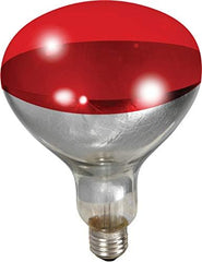 Little Giant® Heat Lamp Bulb – 250W Bulb for Brooding Poultry