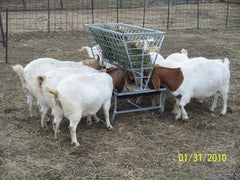 Little Giant® Feeder Goat &amp; Sheep Bunk w/ Rack – Durable Forage and Grain Feeder