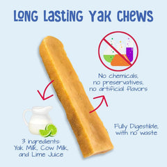 Yeti Dog Chew Coconut Flavored Natural Yak Cheese Chew 1 ct