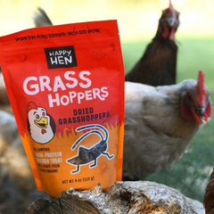 Happy Hen® Dried Grasshoppers – 5 oz