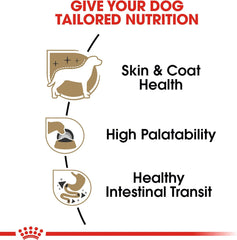 Royal Canin Breed Health Nutrition Chihuahua Adult Loaf in Sauce Wet Dog Food, 3 oz can (4-pack)