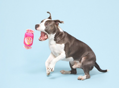 Bark Snuggle Gum Plush Dog Toy Pink