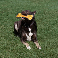 KONG Armor Bone Dog Toy – Medium, Durable Fabric Chew & Tug Toy