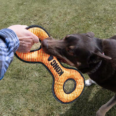 KONG Armor Double Tug Assorted Dog Toy - Large
