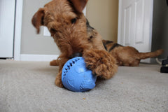 Jolly Pets® Monster Ball Treat Dispensing Toy – 3.5"