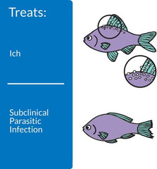 API Liquid Super Ick Cure Freshwater And Saltwater Fish Medication