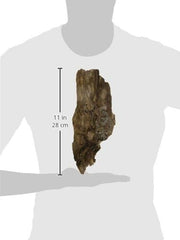 Galápagos (05275) Basking Bark, Natural