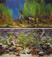 Penn-Plax Double Back Aquarama & Shalescape Background