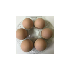 Ceramic Pottery Eggs