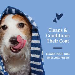 PetArmor Flea & Tick Protection Oatmeal Shampoo for Dogs, Hawaiian Ginger Scent, 18 Ounce