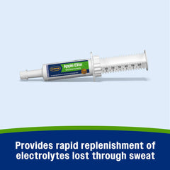 Farnam Apple Elite Horse Electrolyte Paste – 60 cc