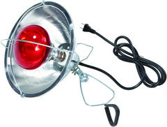 Little Giant® Brooder Reflector Lamp – Safe, Durable, and Adjustable Heat for Chicks