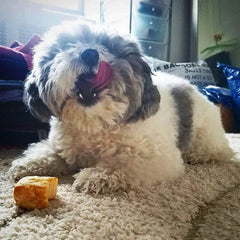 Yeti Refill Nuggets Natural Yak Cheese Treats For Puff and Play Dog Toy 30 ct