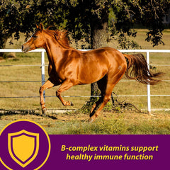 Red Cell® Pellets – Vitamin-Iron-Mineral Supplement for Horses 4 lb