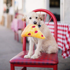 ZippyPaws Squeakie Emojiz Pizza Slice Plush Dog Toy