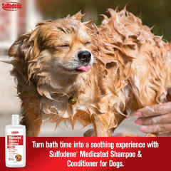 Sulfodene® Medicated Shampoo & Conditioner – 12 oz