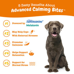 Zesty Advance Calming Soft Chew 60 ct