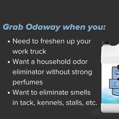 Pyranha Odaway Ready-to-Use Odor Eliminator Spray