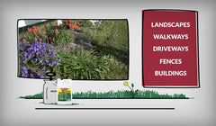 Compare-N-Save® Glyphosate Concentrate Grass & Weed Killer – 32 oz