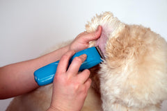 Andis® Cordless Pulse Li5 Clipper