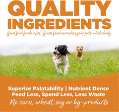 NutriSource, Lamb Meal & Rice Recipe with Wholesome Grains Dry Dog Food, 4lb