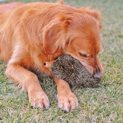 ZippyPaws Hedgehog Large_DX