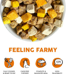 Weruva Dog Freeze Dried, Feeling Farmy with Chicken Breast, Egg & Pumpkin, 13oz Bag