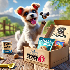 Big Dog Canine Box for Small Dogs – New Surprise of Premium Treats & Toys Every Time You Order
