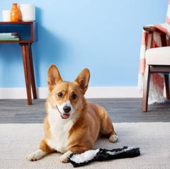 Skinneeez Skunk Dog Toy