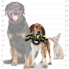 TUFFY - World's Tuffest Soft Dog Toy - Desert Phrog - Squeakers - Multiple Layers. Made Durable, Strong & Tough. Interactive Play (Tug, Toss & Fetch). Machine Washable & Floats (Regular)