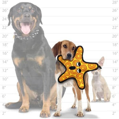 TUFFY - World's Tuffest Soft Dog Toy - Ocean Starfish - Squeakers - Multiple Layers. Made Durable, Strong & Tough. Interactive Play (Tug, Toss & Fetch). Machine Washable & Floats