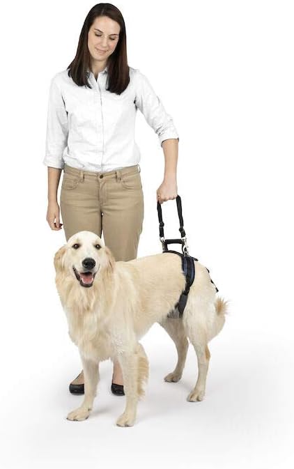 Solvit Product PetSafe CareLift Rear Support Harness - Lifting Aid with Handle and Shoulder Strap - Fits Waist Measuring 27-37 inches, Dog Weight 70lb-130lb, Large, Black