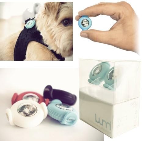 Curli AG 640186 LED Collar Safety Light