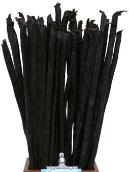 Etta Says Rabb Chew 3' Black 1 stick