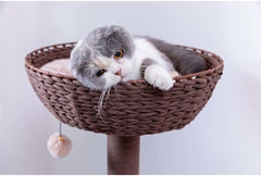PetPals Group Pharaoh Multi-Functional Handwoven Cat Tree with Scratching Posts, 48.5" H