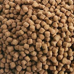 Hikari 17.6-Ounce Sinking Wheat Germ Pellets for Pets, Medium