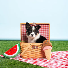 Zippy Paws NomNomz Ice Cream