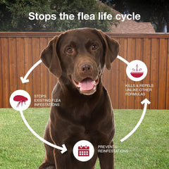 K9 Advantix® II – Monthly Flea, Tick &amp; Mosquito Protection for Dogs