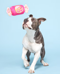 Bark Snuggle Gum Plush Dog Toy Pink