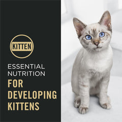 Purina Pro Plan Kitten Dry Cat Food Chicken & Rice Formula – 16 lb Bag