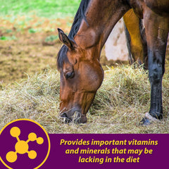 Red Cell® Pellets – Vitamin-Iron-Mineral Supplement for Horses 4 lb