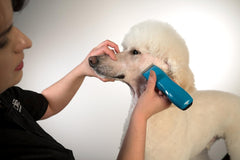 Andis® Cordless Pulse Li5 Clipper