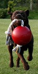 Jolly Pets® Romp-N-Roll Interactive Dog Toy – Orange